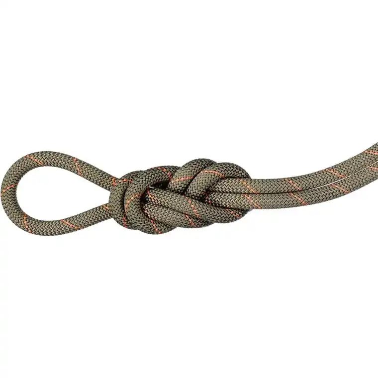 Bästa pris Mammut 9.9 Gym Workhorse Classic Rope 50m