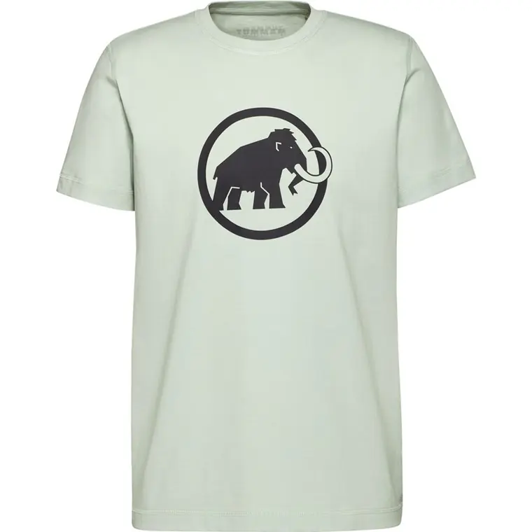 Mammut Core T-Shirt Men Classic Silver Sage Snabb leverans
