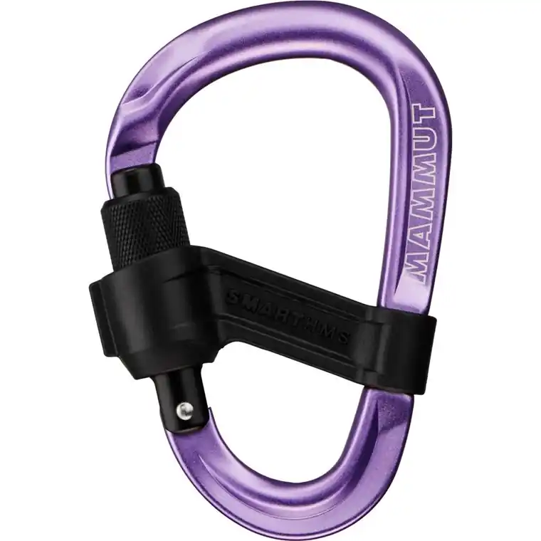 Utförsäljning Mammut Smart HMS 2.0 Screwgate Carabiner Alpine Calamint