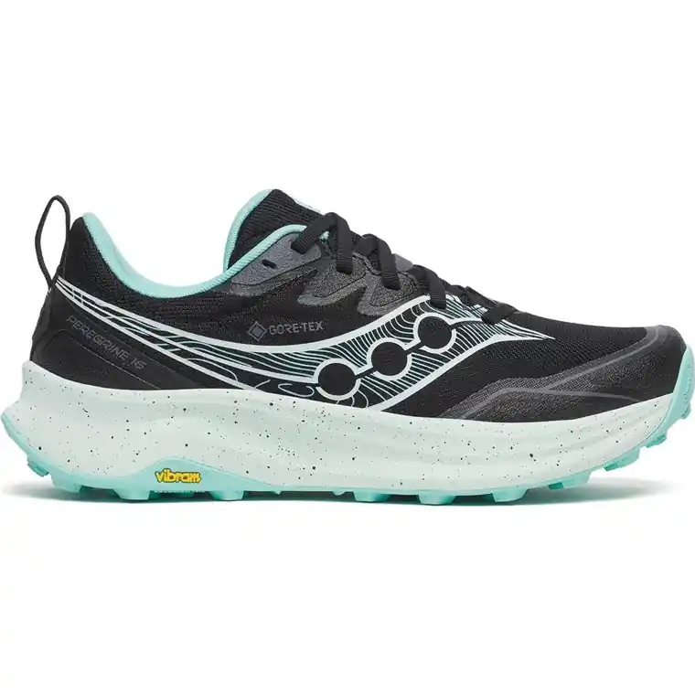 Beställ nu Saucony Peregrine 16 GTX Dam Black/Aqua