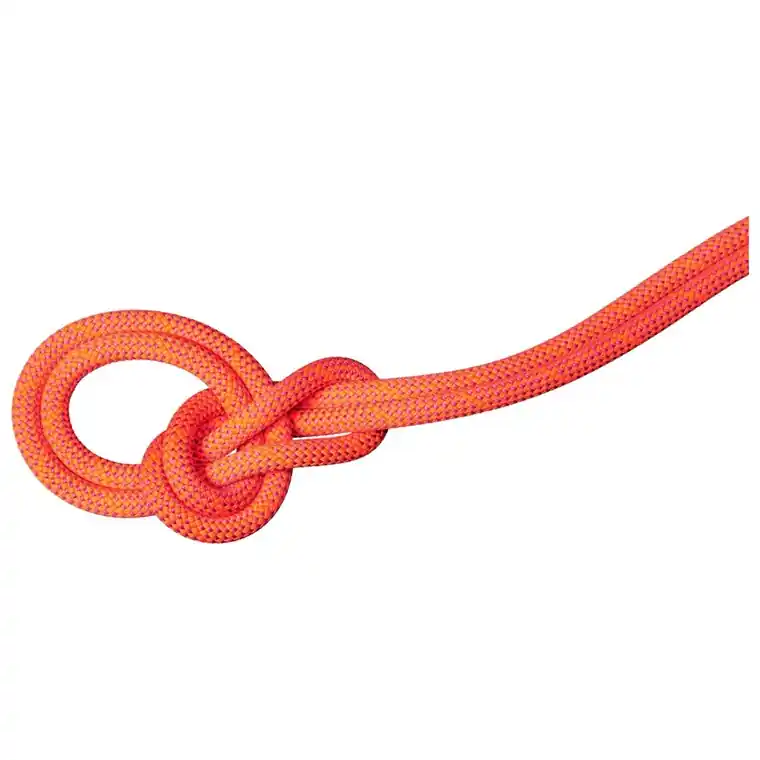 Extra rabatt Mammut 9.8 Crag Dry Rope 60m