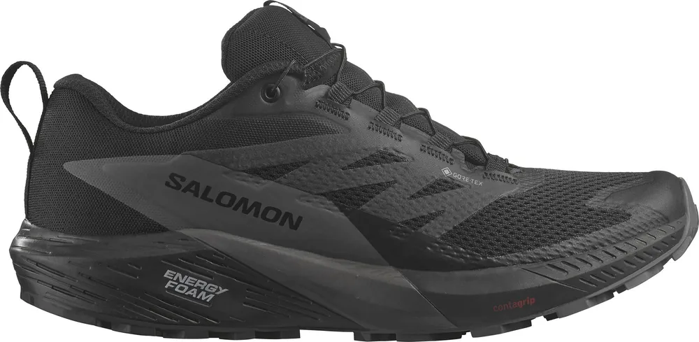 Rabatter Salomon Men's Sense Ride 5 GORE-TEX Black/Magnet/Black