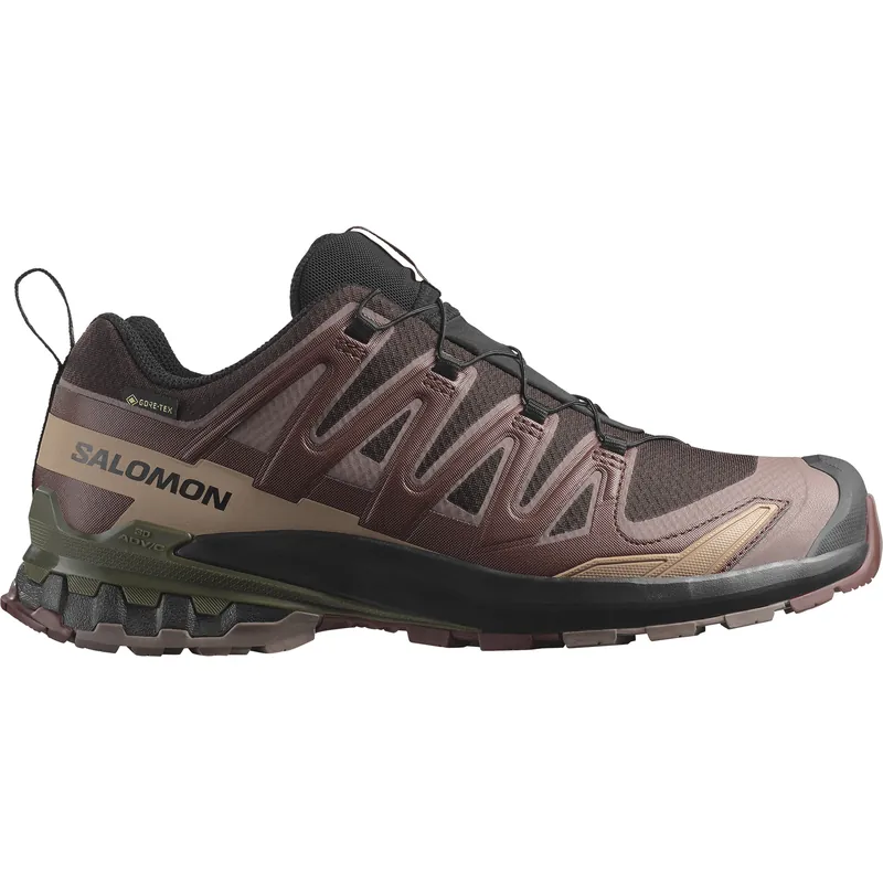 Salomon Men's XA Pro 3D V9 GORE-TEX Black Coffee/Rum Raisin/Olive Night Snabb frakt