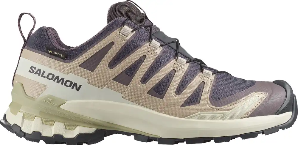 Expressleverans Salomon Women's XA Pro 3d V9 GORE-TEX Nine Iron/oxford Tan/alfalfa