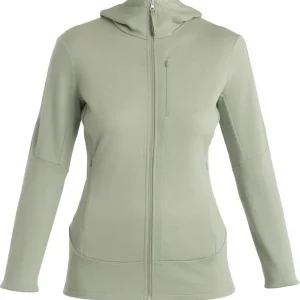Nyhet Icebreaker Women's Merino 260 Quantum Iv Longsleeve Zip Hoodie