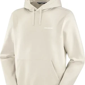 Bästa pris Salomon Men's Salomon Logo Hoodie Rainy Day