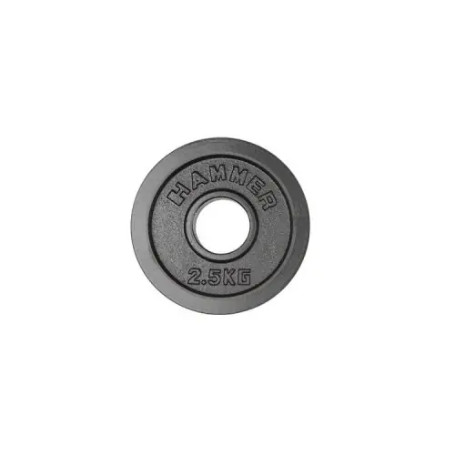Fynd Viktskiva internationell Hammer 2,5 kg