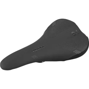WTB Silverado Saddle Titanium Köp nu