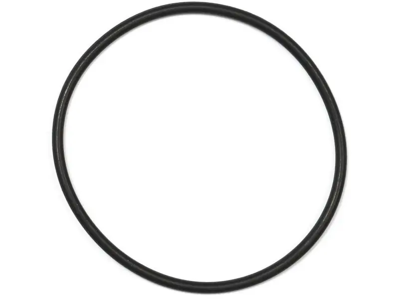 Bosch Active/Performance O-Ring, Gen2 Expressleverans