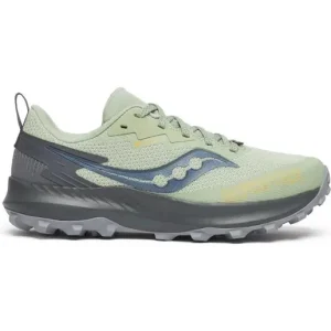 Begränsat erbjudande Saucony Trailrunning Skor Peregrine 14 GTX Sage/carbon