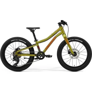 Barncykel Merida Matts J.20+ Fall Green/Red Extra rabatt
